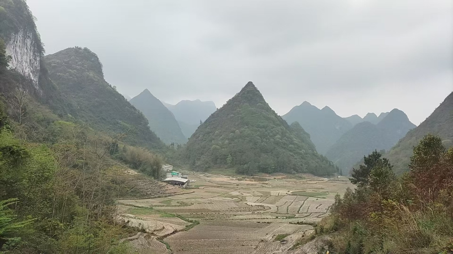 图片9.png